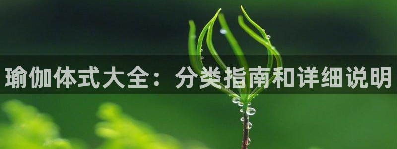 欧洲杯押注