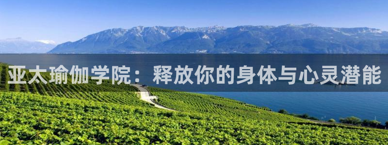 十大靠谱外围买球网站
