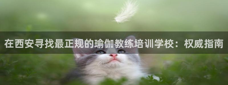 欧洲杯投注在哪找网址