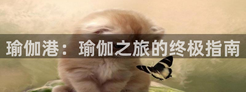 欧洲杯押注怎么买