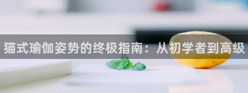 欧洲杯投注推荐网站