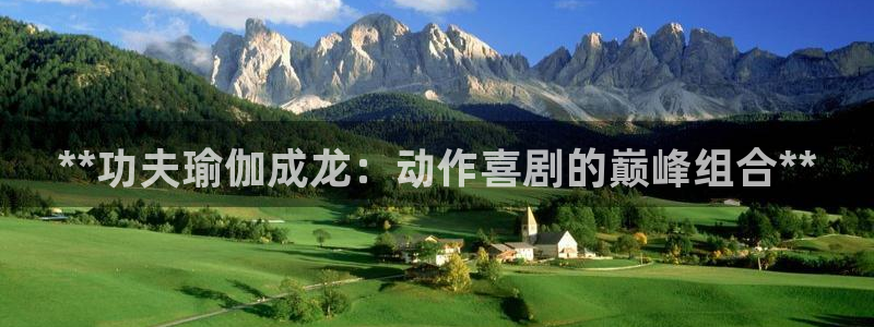 欧洲杯哪里买球靠谱