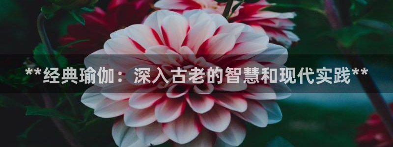 欧洲杯投注官方网站