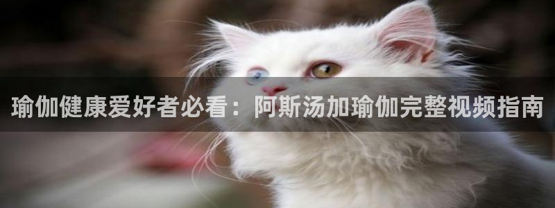 2024欧洲杯买球手机版