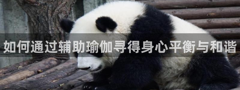 欧洲杯下单平台官网