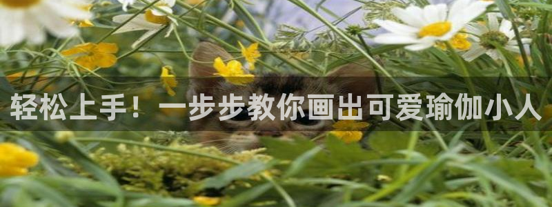 2024欧洲杯买球推荐