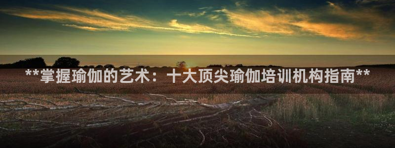欧洲杯押注怎么买