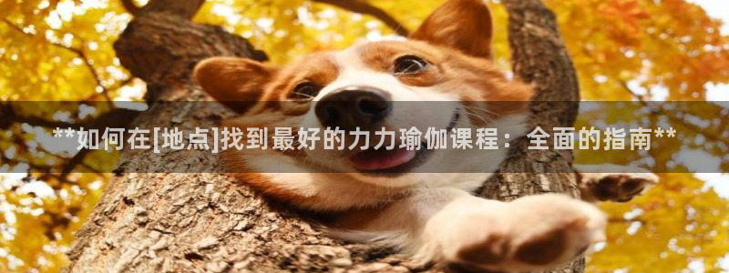 买足球平台哪个比较好