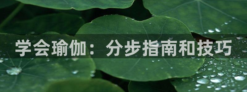 欧洲杯彩票哪里买