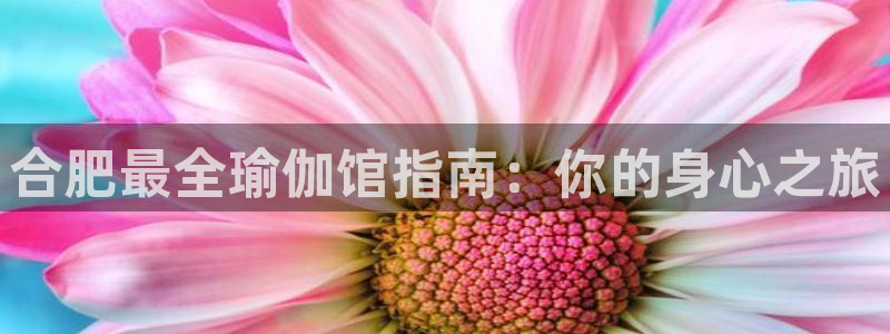 怎么买欧洲杯
