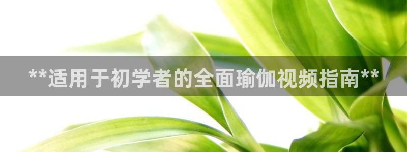 欧洲杯押注