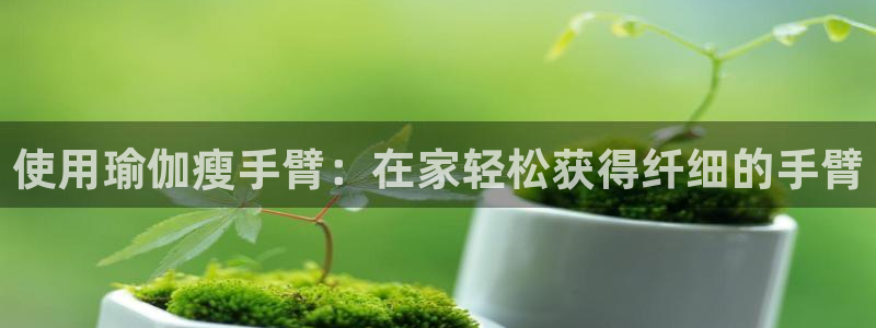 2024欧洲杯买球手机版
