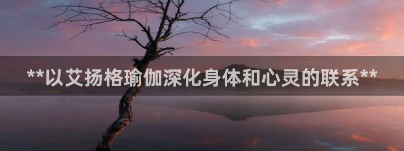 欧洲杯最新赛程