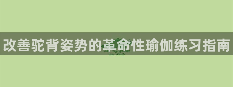 欧洲杯在哪个网站购买
