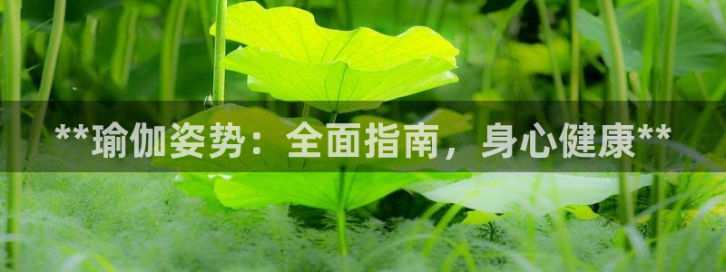 欧洲杯在哪个网站购买