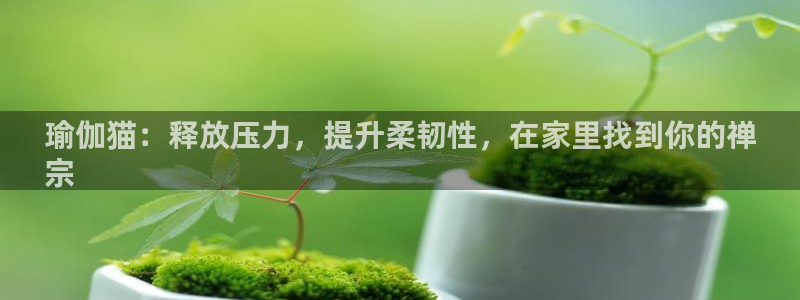 欧洲杯线上买球