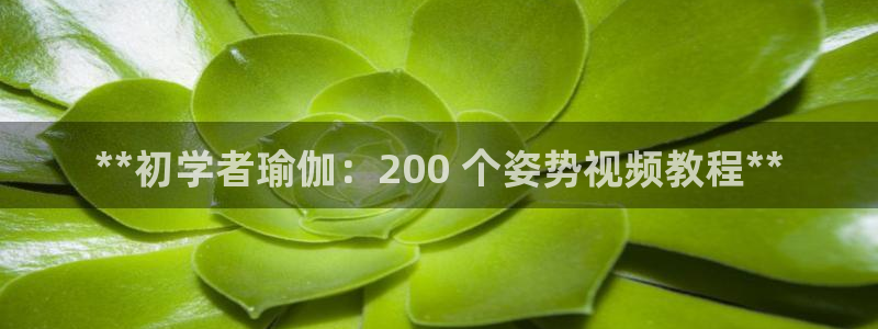 欧洲杯竞猜软件