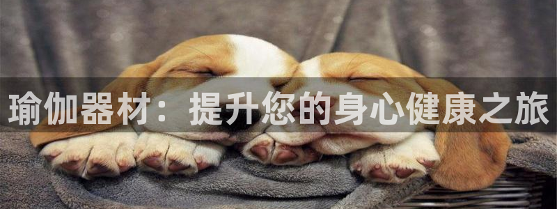 欧洲杯在哪个网站购买