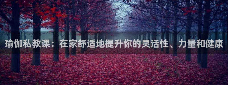 欧洲杯买球网