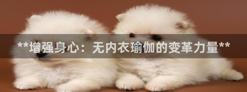 欧洲杯押注入口