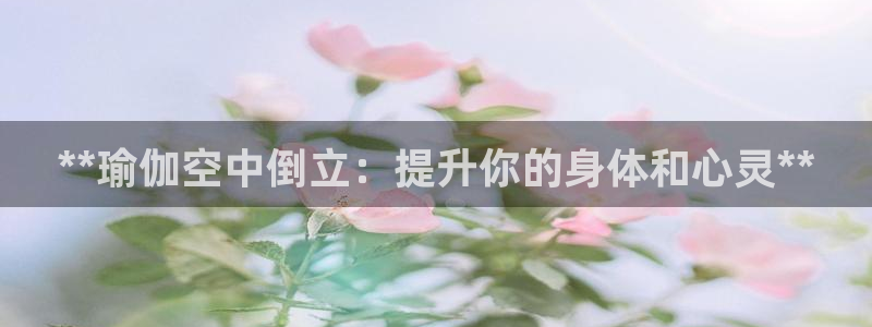 欧洲杯线上买球
