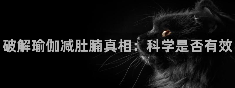 欧洲杯买球网