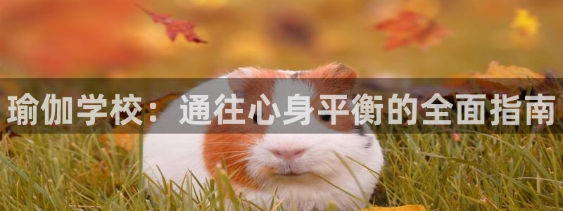 欧洲杯2024下单