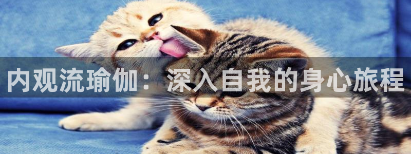 十大靠谱外围买球网站