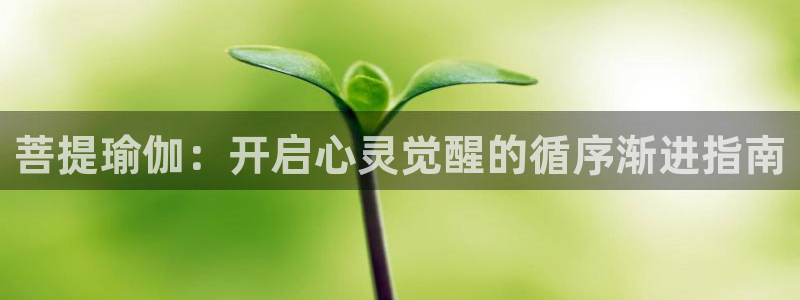 放心购买足球平台