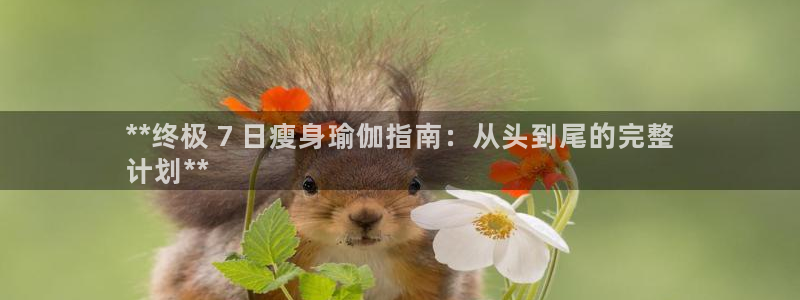 欧洲杯哪里买球靠谱