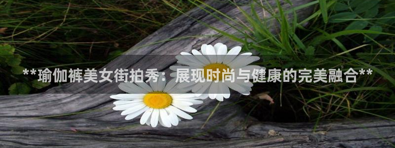 2024欧洲杯买竞猜