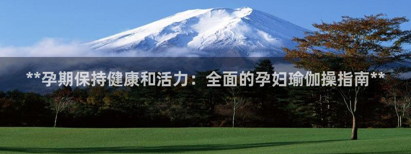 欧洲杯可以买冠亚军吗