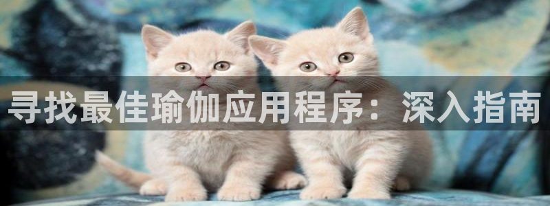 欧洲杯下赌注平台