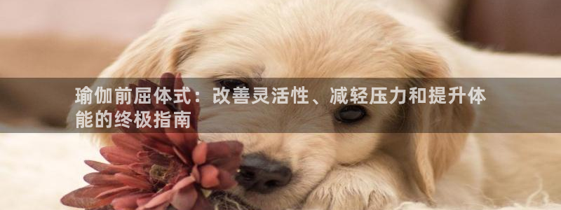 欧洲杯下赌注平台