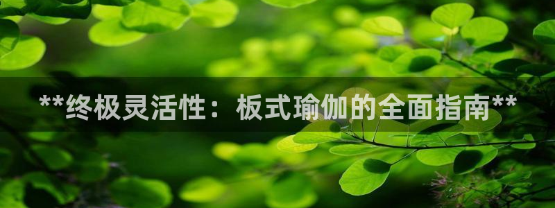 欧洲杯下单平台官网网址