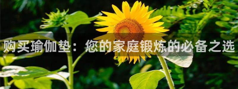 欧洲杯投注官方网站