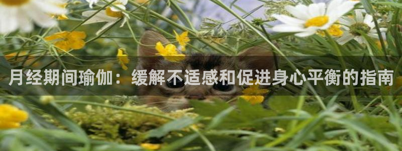 2024欧洲杯官方网站首页