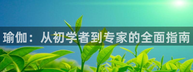 2024欧洲杯全部赛程