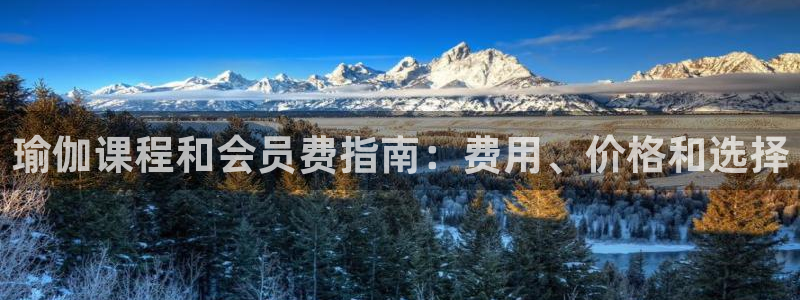 欧洲杯买注在哪买