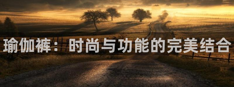 欧洲杯下单平台官网网址