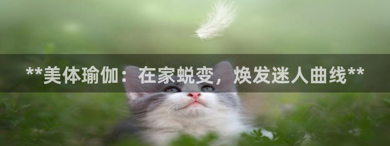 欧洲杯押注
