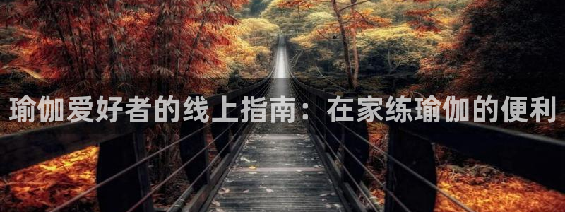 欧洲杯买注在哪买