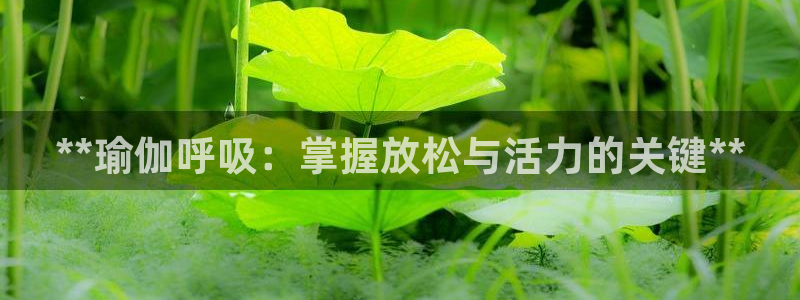 欧洲杯买球网