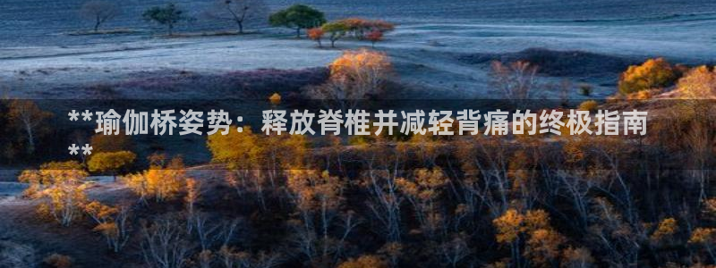 欧洲杯买球网