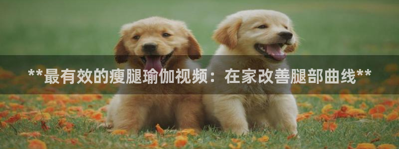 welcome欧洲杯