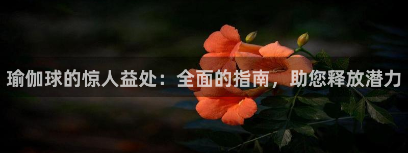 2024欧洲杯押注官网