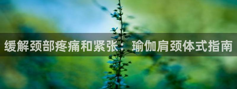 欧洲杯最新赛程