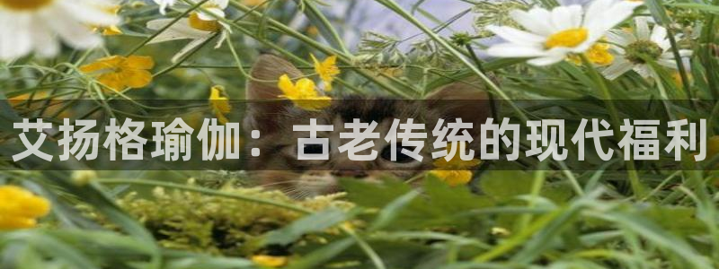 欧洲杯竞猜手机app推荐