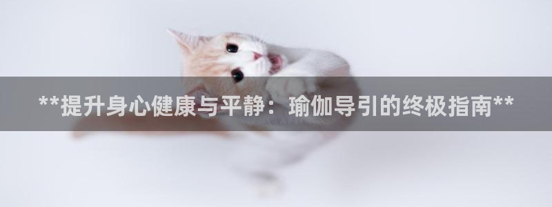 怎么买欧洲杯