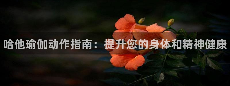 欧洲杯买注在哪买
